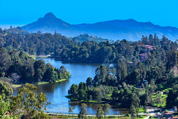 Kodaikanal (Tamil Nadu)